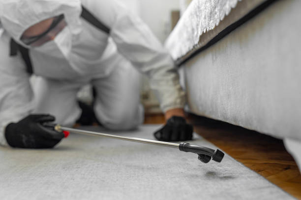 Professional Termite Control technician working in Highland Beach, FL