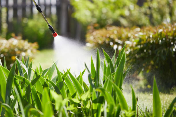 24/7 Emergency Termite Control experts in Highland Beach, FL
