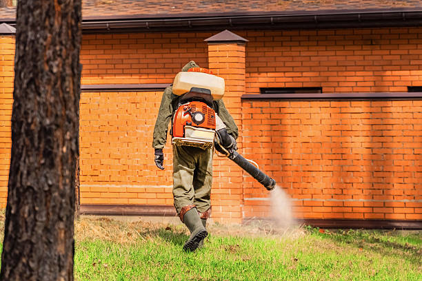 Trusted Mosquito Control service in Highland Beach, FL - Nex Pest Control